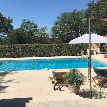 La Brindille Petit Mas Provencal Meuble De Tourisme 3 Etoiles 2-3 Personnes 1 Piece 30 M2 Tout Confort Lisiere Foret Jardin Jacuzzi Piscine Saint-Paul-en-Foret Экстерьер фото