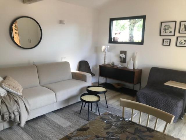 La Brindille Petit Mas Provencal Meuble De Tourisme 3 Etoiles 2-3 Personnes 1 Piece 30 M2 Tout Confort Lisiere Foret Jardin Jacuzzi Piscine Saint-Paul-en-Foret Экстерьер фото