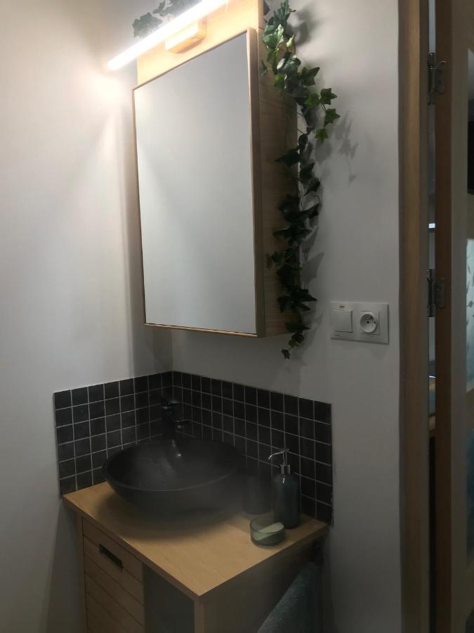 La Brindille Petit Mas Provencal Meuble De Tourisme 3 Etoiles 2-3 Personnes 1 Piece 30 M2 Tout Confort Lisiere Foret Jardin Jacuzzi Piscine Saint-Paul-en-Foret Экстерьер фото