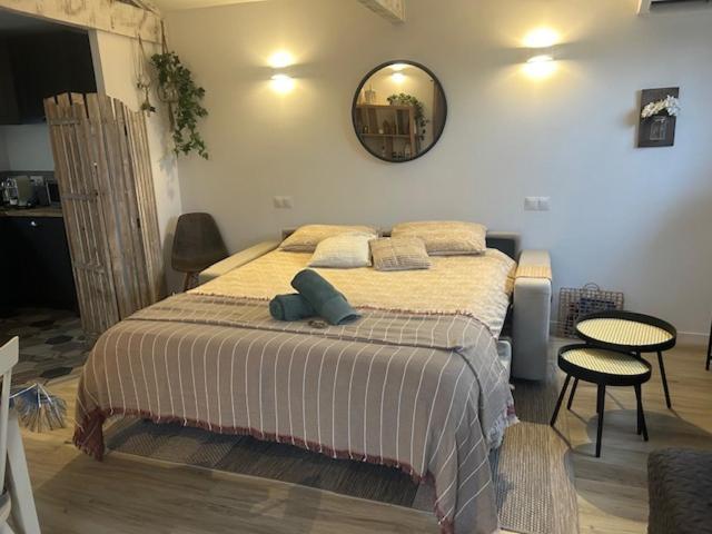La Brindille Petit Mas Provencal Meuble De Tourisme 3 Etoiles 2-3 Personnes 1 Piece 30 M2 Tout Confort Lisiere Foret Jardin Jacuzzi Piscine Saint-Paul-en-Foret Экстерьер фото